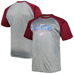 NHL Colorado Avalanche Big & Tall Logo Raglan T-Shirt