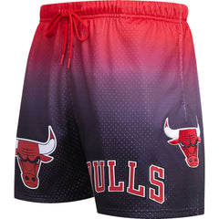 Chicago Bulls Pro Standard Ombre Mesh Shorts