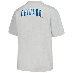Gray Chicago Cubs PLEASURES Mascot T-Shirt