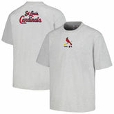 Gray St. Louis Cardinals PLEASURES Mascot T-Shirt