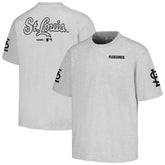 Gray St. Louis Cardinals PLEASURES Team T-Shirt
