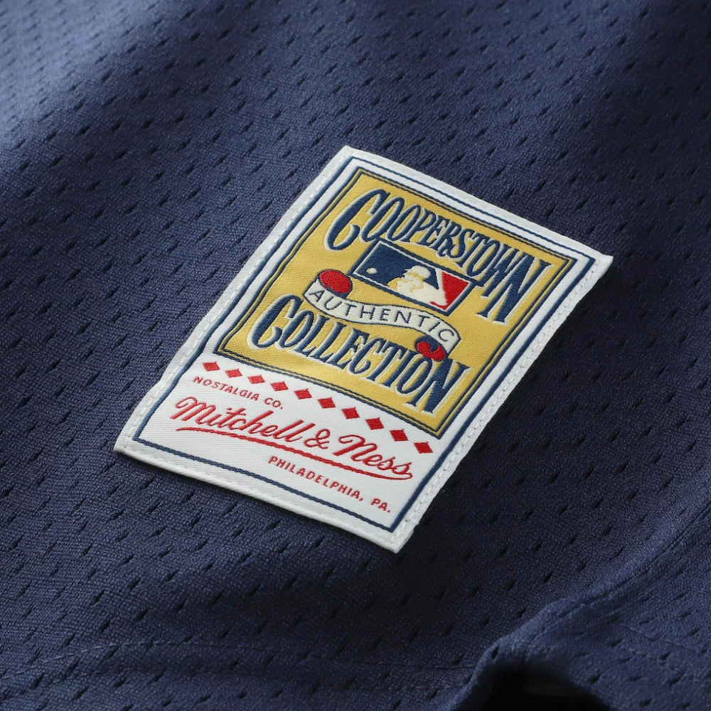 Navy Kirby Puckett Minnesota Twins Mitchell & Ness Authentic Batting Practice Jersey