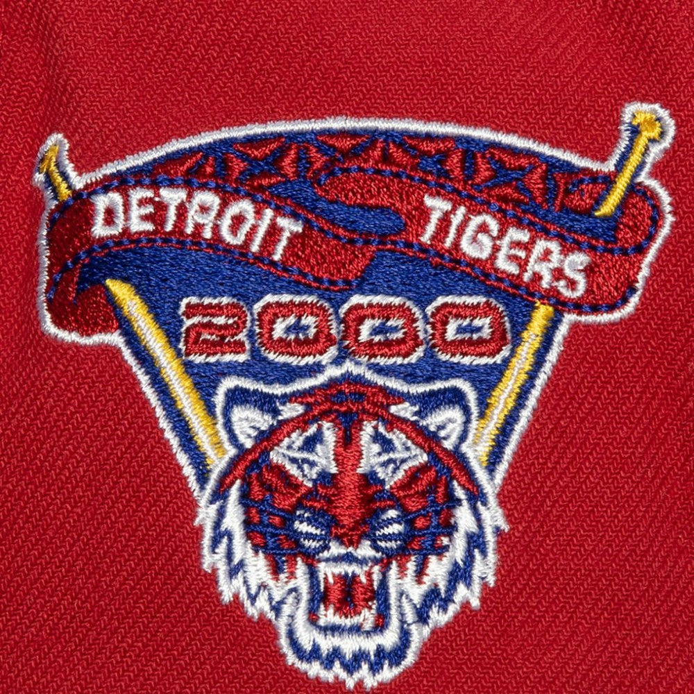 Red/Royal Detroit Tigers Mitchell & Ness Hometown Snapback Hat