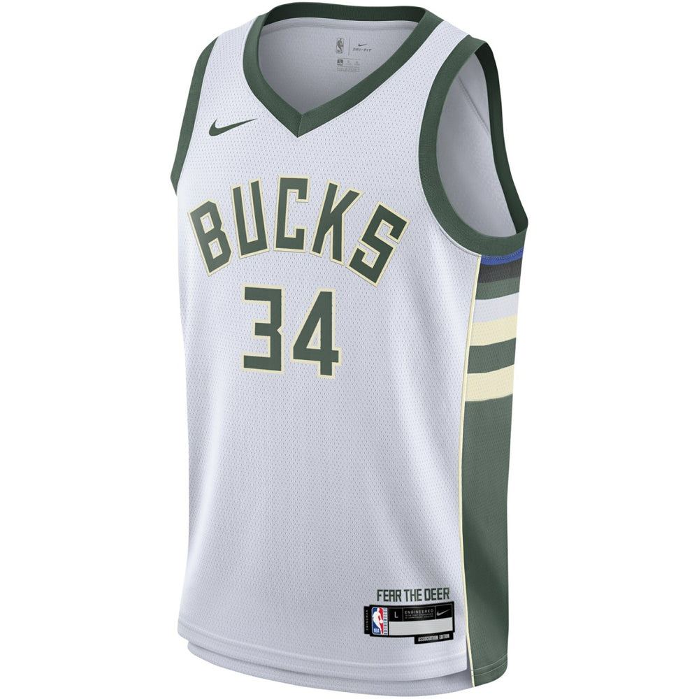 Nike Giannis Antetokounmpo Milwaukee Bucks Youth Swingman Jersey
