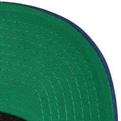 NHL St. Louis Blues Mitchell & Ness Team Seal Trucker Snapback Hat