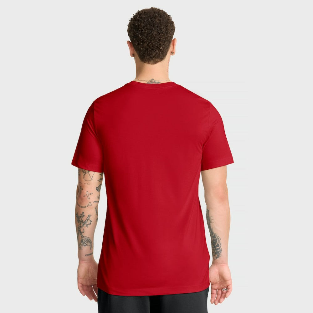 Red Cincinnati Reds Nike Knockout Team Legend Dri-FIT T-Shirt