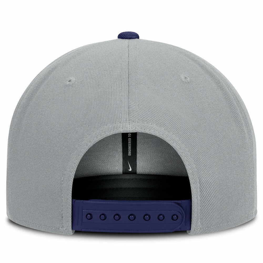 Gray/Royal Los Angeles Dodgers Nike Primetime Pro Dri-FIT Snapback Hat