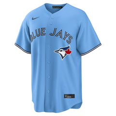 Light Blue Anthony Santander Toronto Blue Jays Nike Alternate Replica Jersey