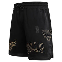 Chicago Bulls Pro Standard Shorts