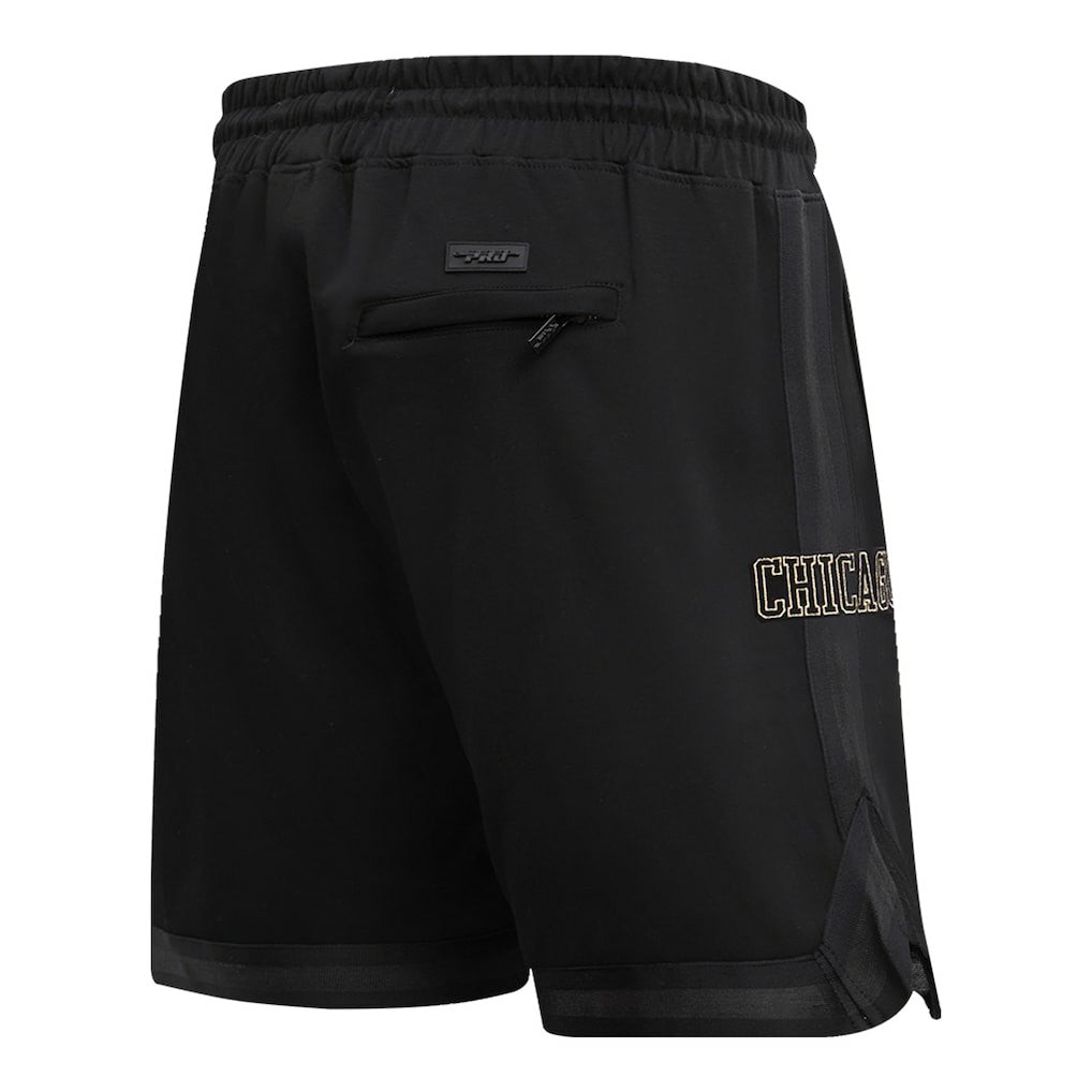 Chicago Bulls Pro Standard Shorts