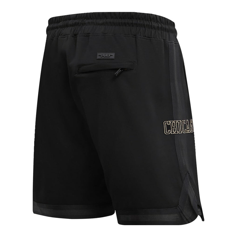 Chicago Bulls Pro Standard Shorts