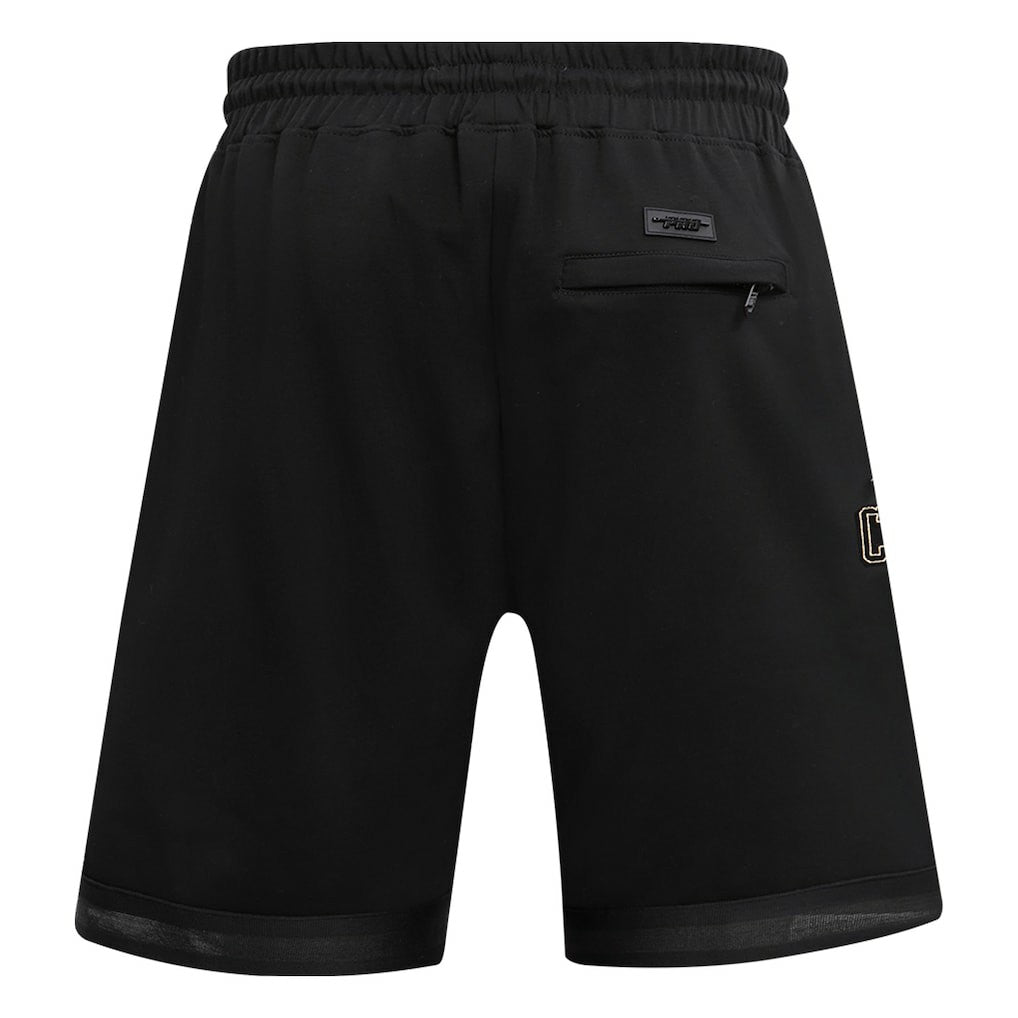 Chicago Bulls Pro Standard Shorts