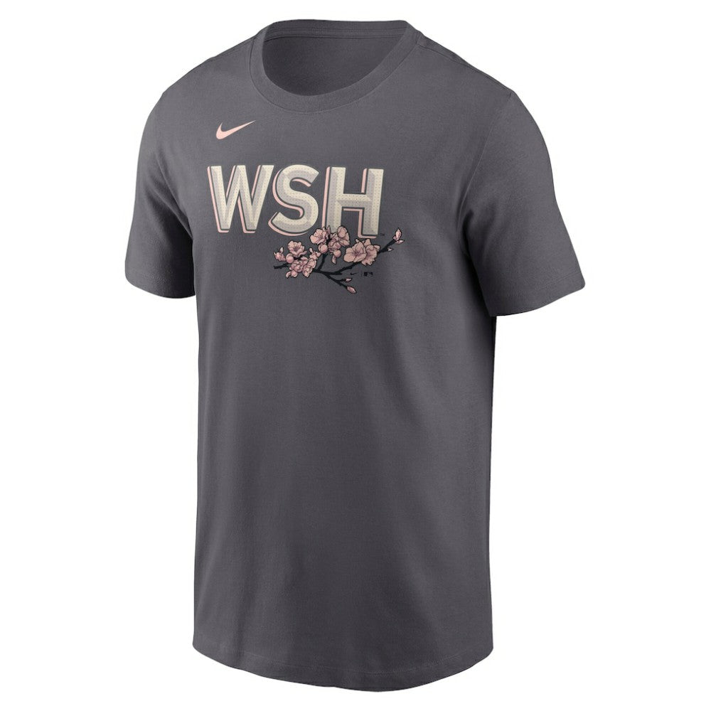 Gray Keibert Ruiz Washington Nationals Nike City Connect Fuse Name & Number T-Shirt