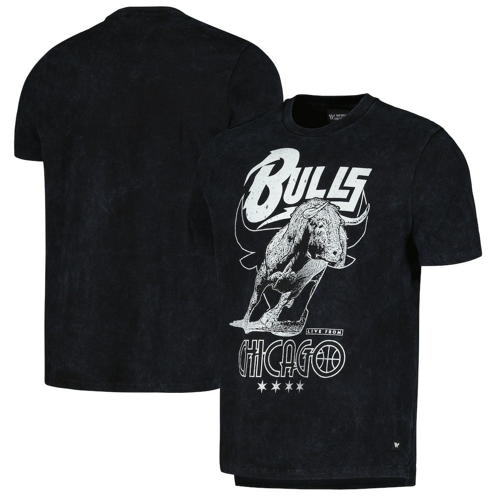 Chicago Bulls The Wild Collective Unisex Tour Band T-Shirt sale