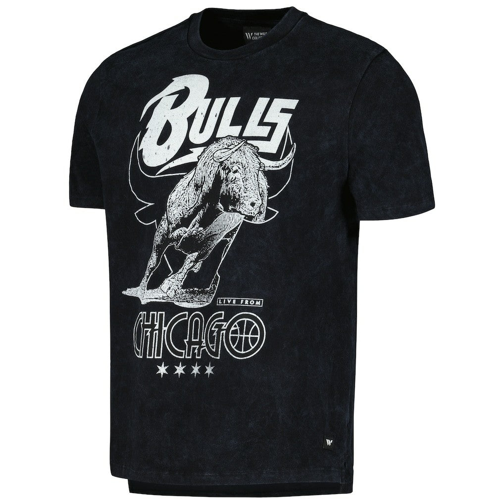 Chicago Bulls The Wild Collective Unisex Tour Band T-Shirt sale