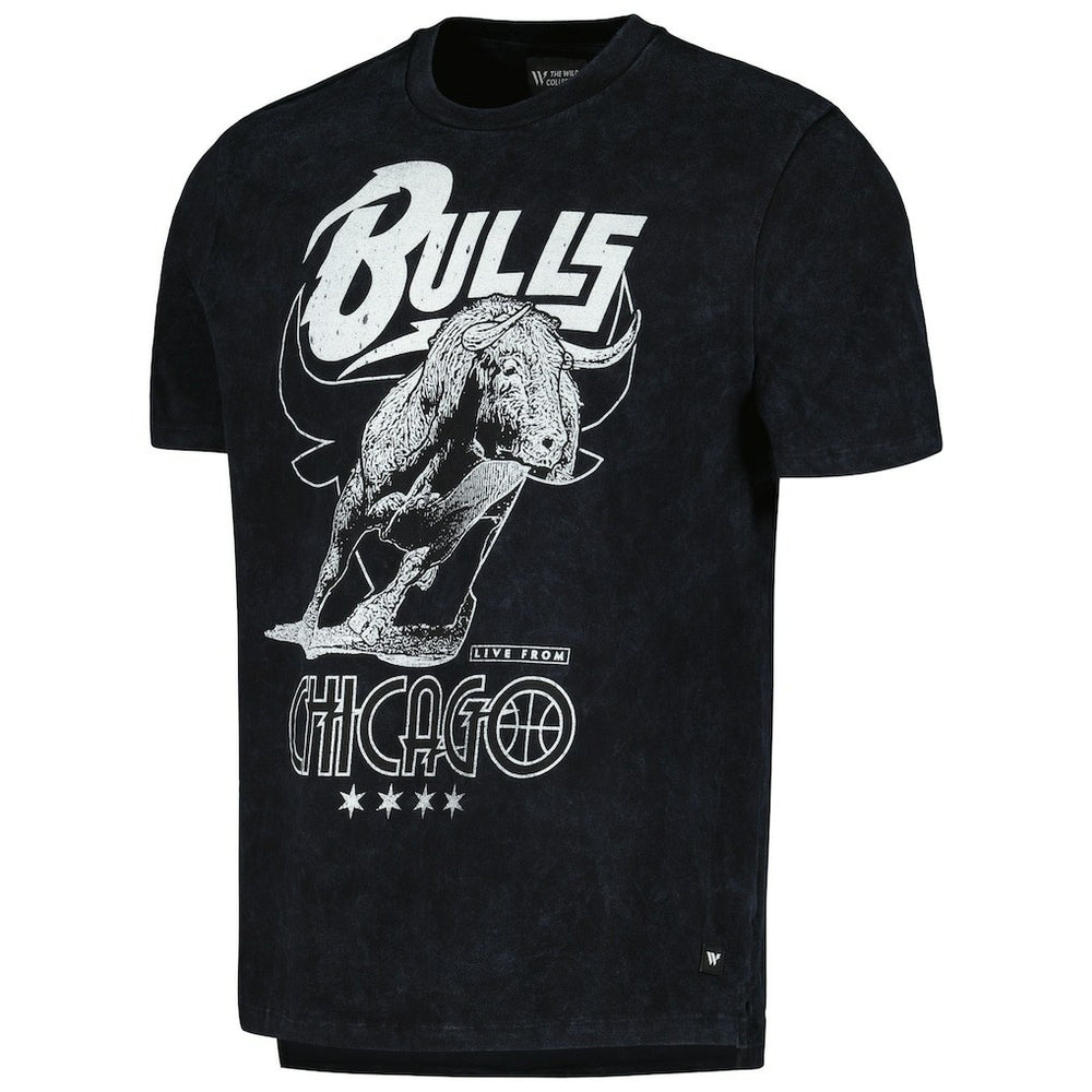 Chicago Bulls The Wild Collective Unisex Tour Band T-Shirt sale