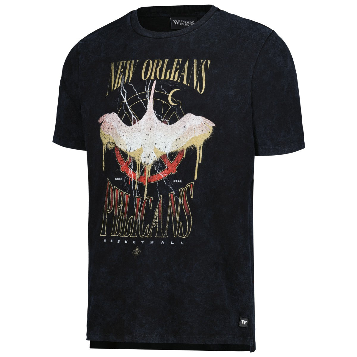 New Orleans Pelicans The Wild Collective Unisex Tour Band T-Shirt