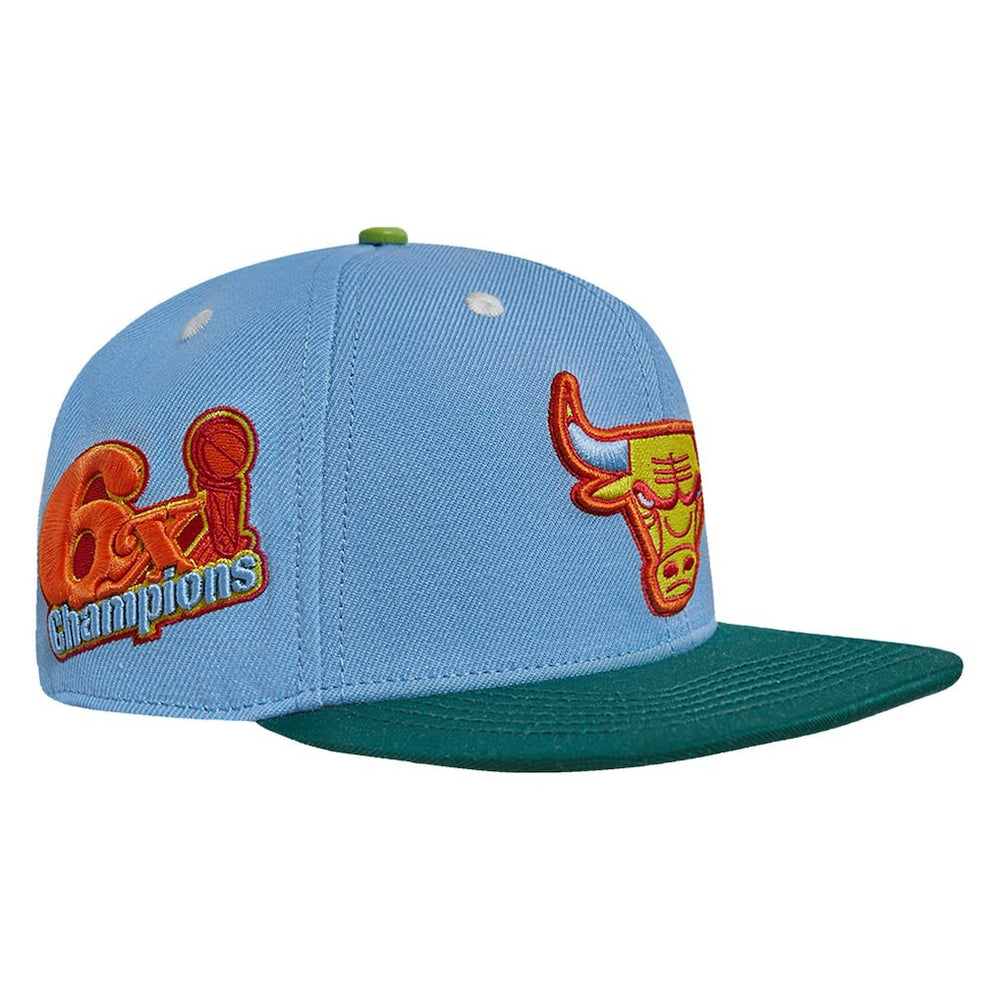 Chicago Bulls Pro Standard Retro Program 2-Tone Snapback Hat