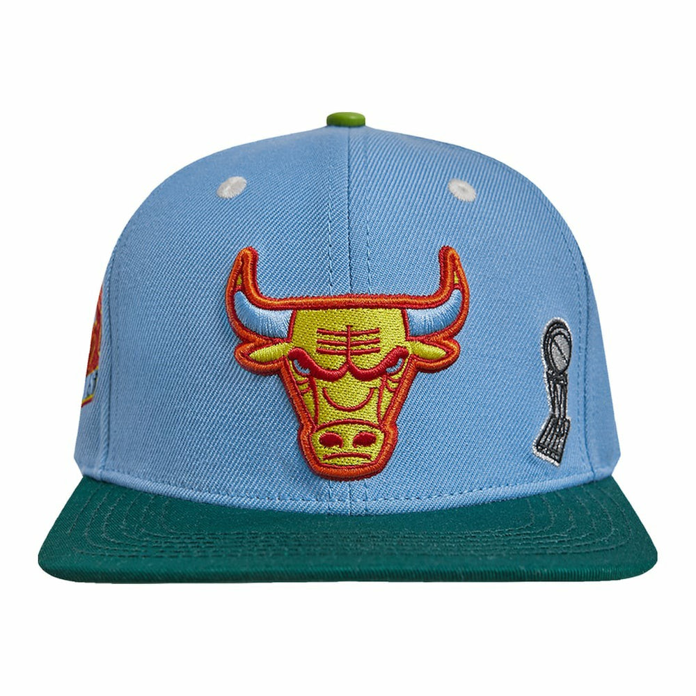 Chicago Bulls Pro Standard Retro Program 2-Tone Snapback Hat