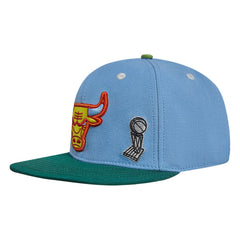 Chicago Bulls Pro Standard Retro Program 2-Tone Snapback Hat