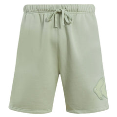 Light Green Boston Red Sox Pro Standard Neutral Fleece Shorts