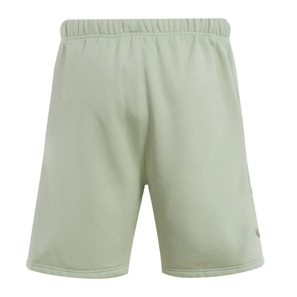 Light Green Boston Red Sox Pro Standard Neutral Fleece Shorts