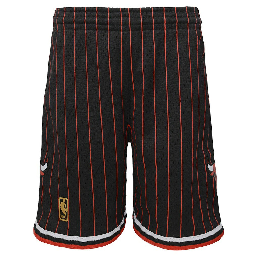 Mitchell & Ness Chicago Bulls Youth Hardwood Classics Swingman Shorts