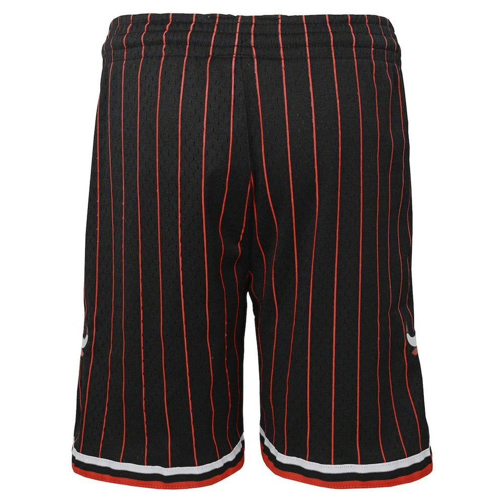 Mitchell & Ness Chicago Bulls Youth Hardwood Classics Swingman Shorts