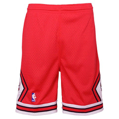 Mitchell & Ness Chicago Bulls Youth Hardwood Classics Swingman Shorts