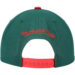 NHL Minnesota Wild Mitchell & Ness Core Team Ground 2.0 Snapback Hat