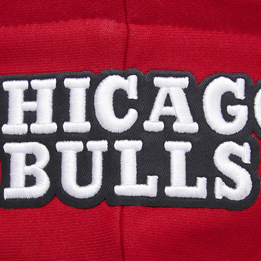 Chicago Bulls Pro Standard Women's Script Tail Cropped Pullover Hoodie