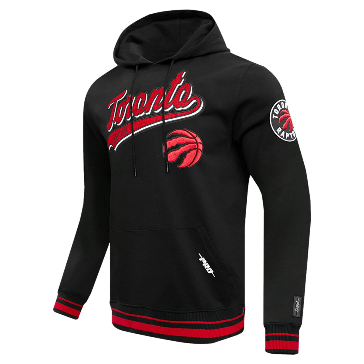 Toronto Raptors Pro Standard Script Tail Pullover Hoodie