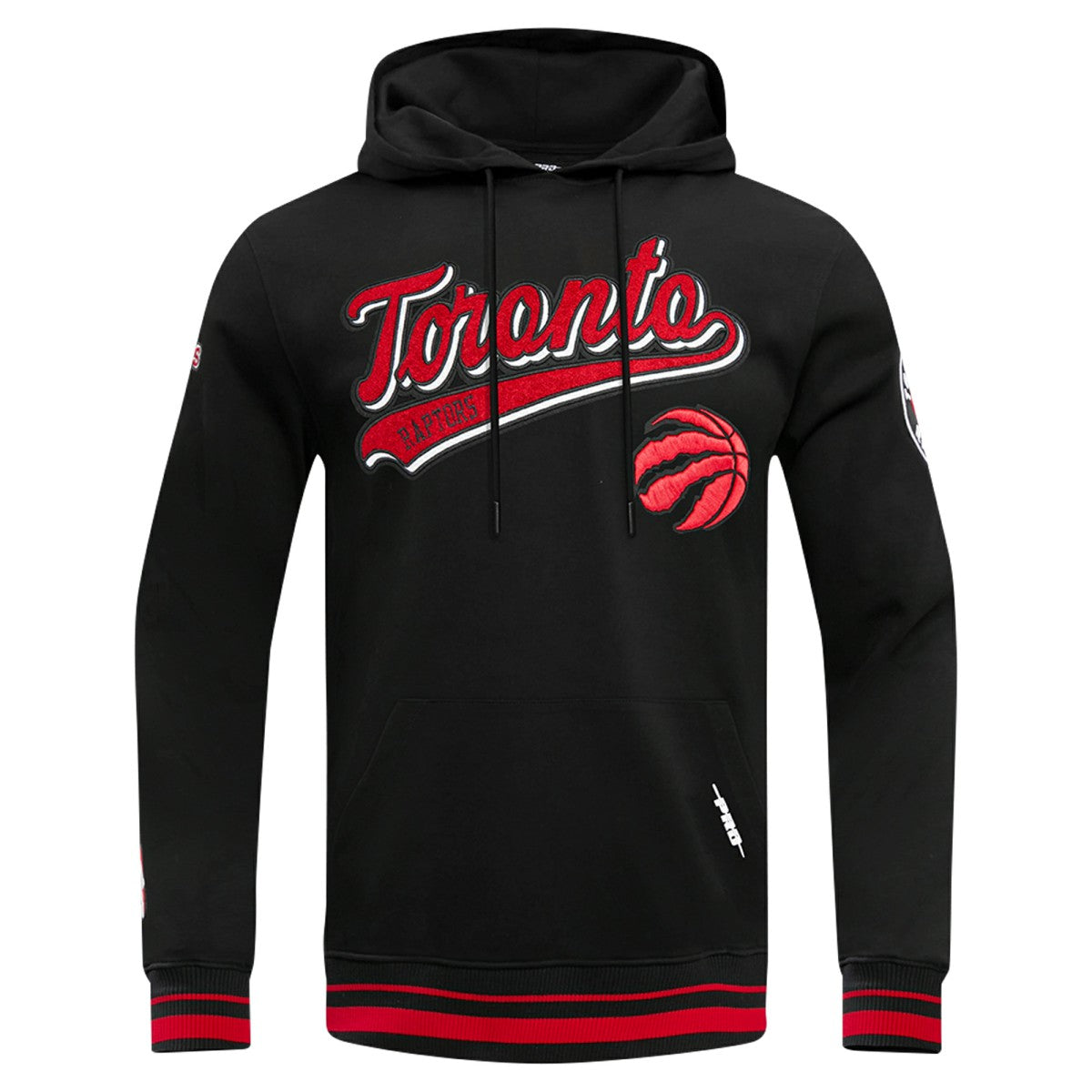 Toronto Raptors Pro Standard Script Tail Pullover Hoodie