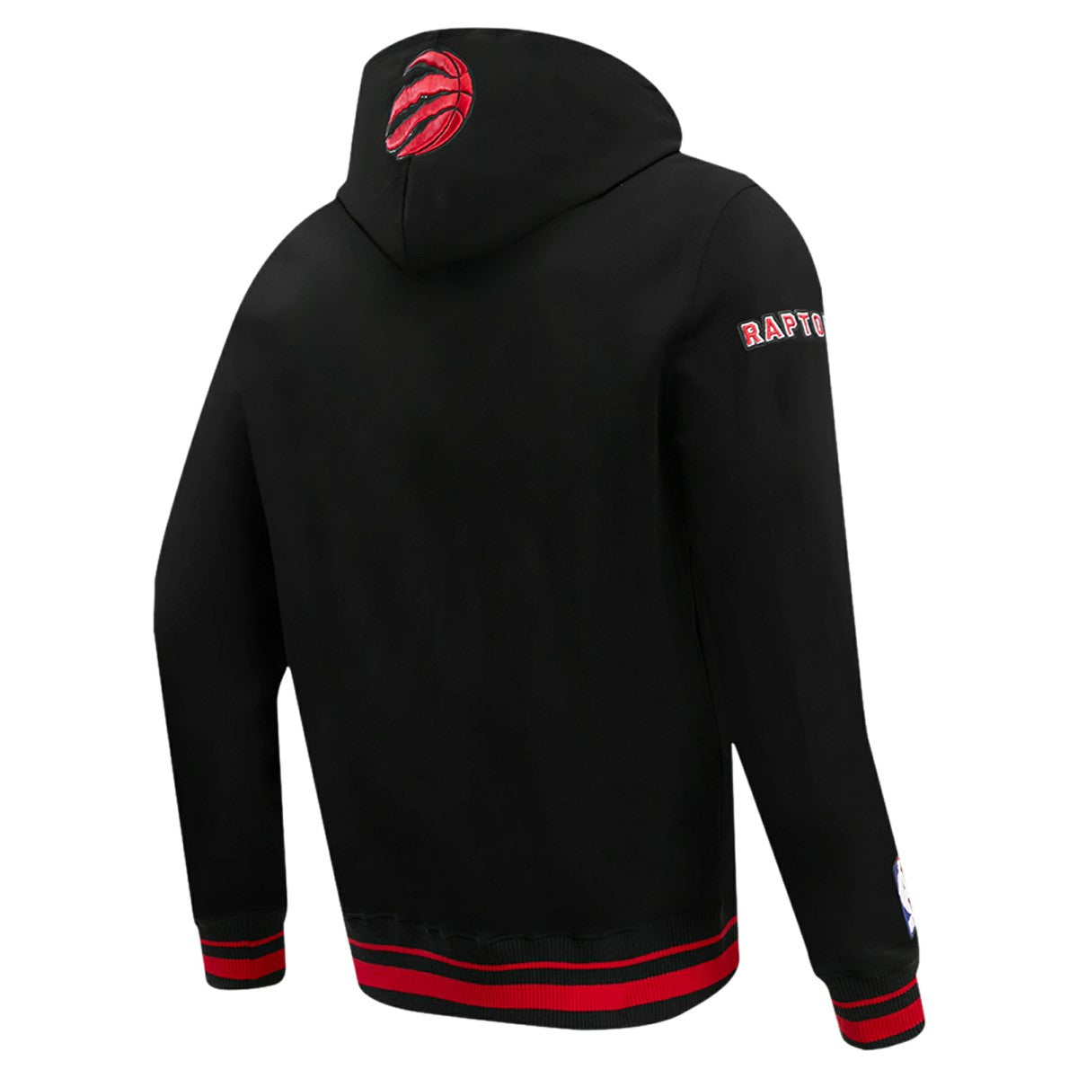 Toronto Raptors Pro Standard Script Tail Pullover Hoodie