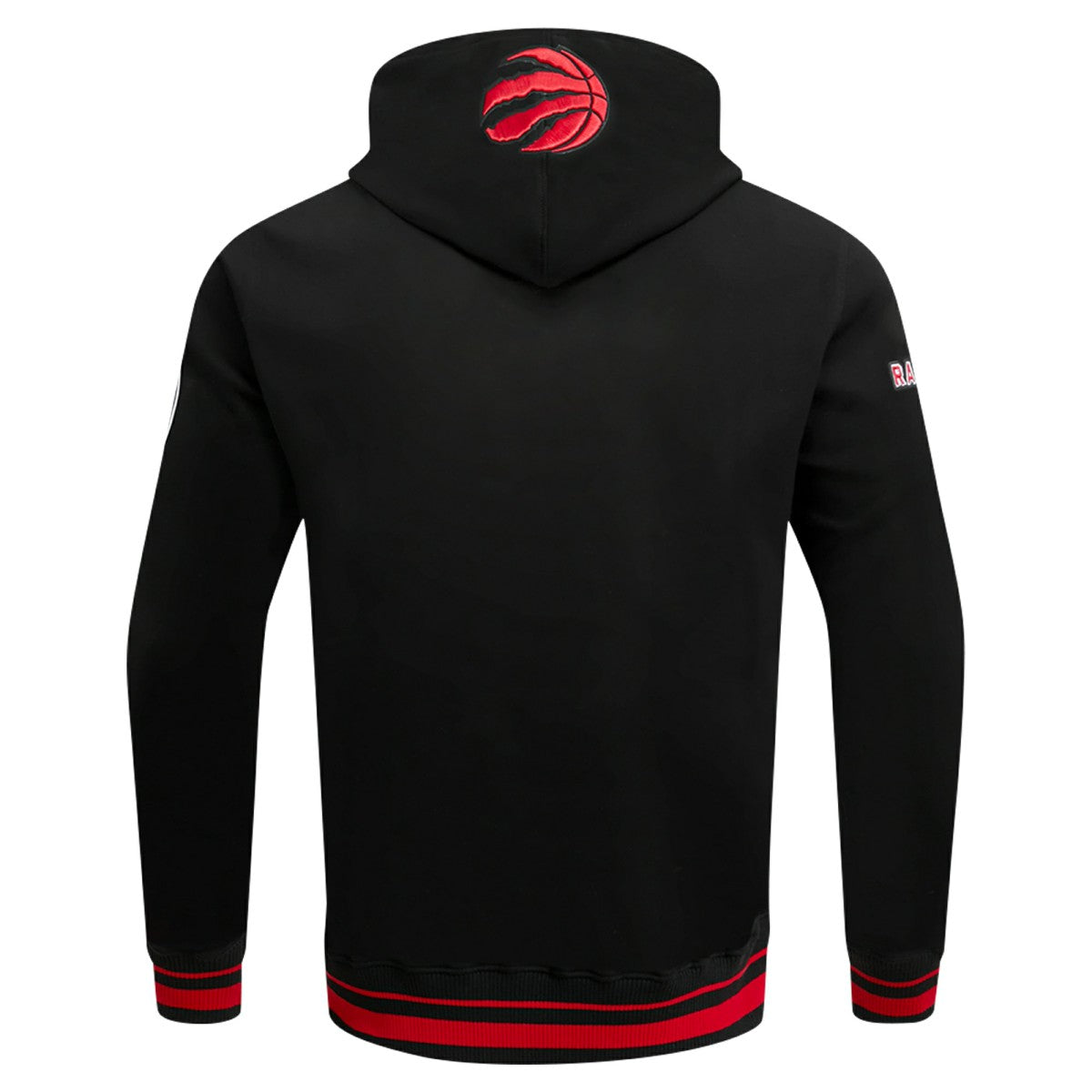 Toronto Raptors Pro Standard Script Tail Pullover Hoodie