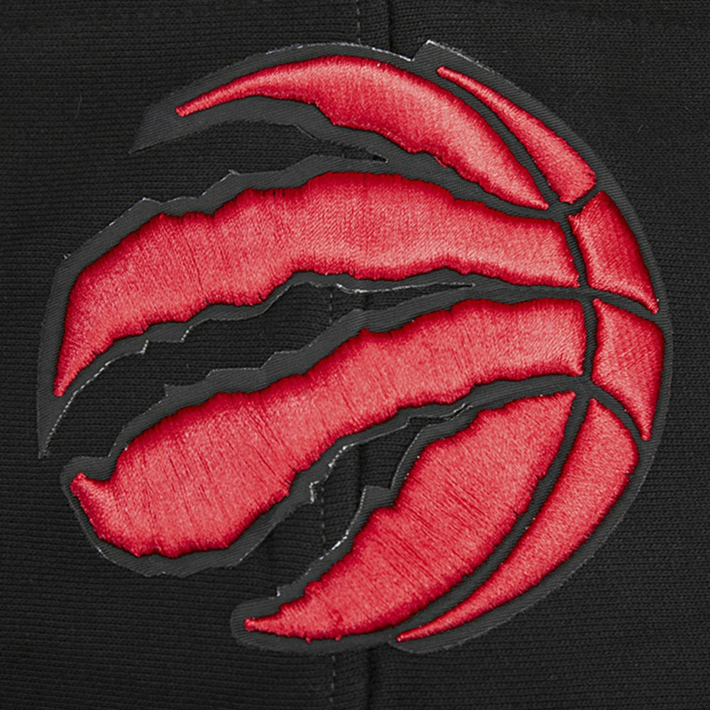 Toronto Raptors Pro Standard Script Tail Pullover Hoodie