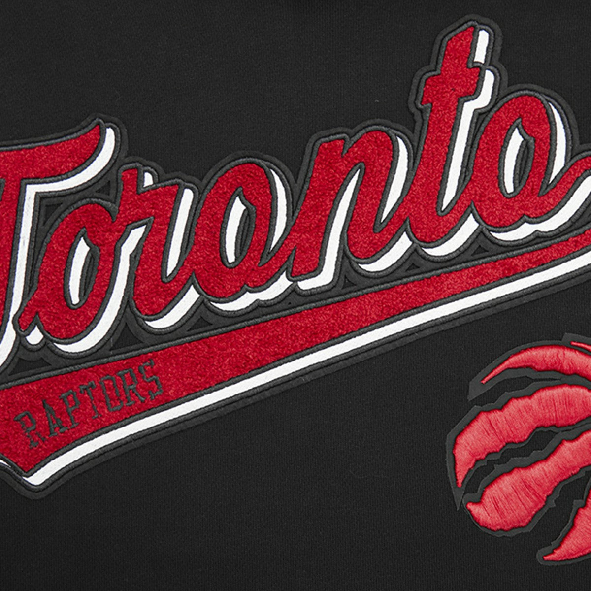 Toronto Raptors Pro Standard Script Tail Pullover Hoodie