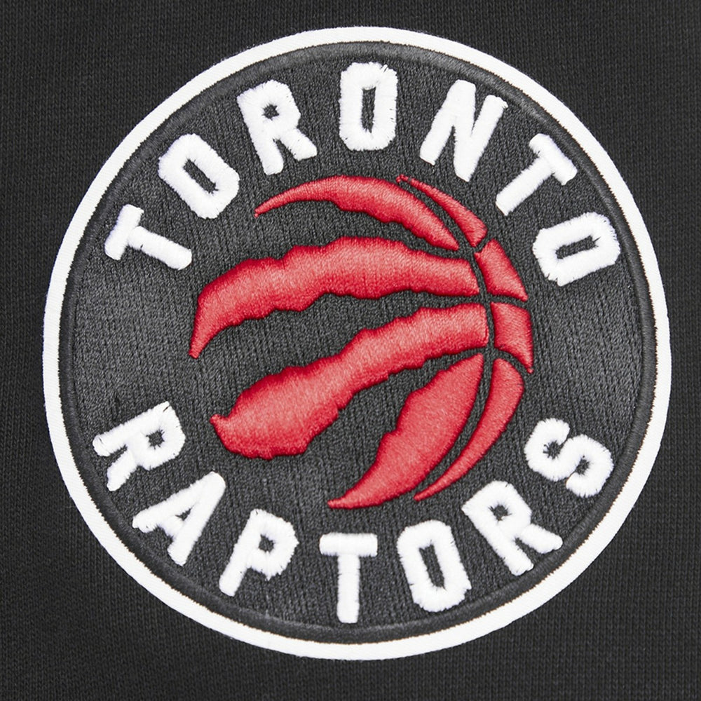 Toronto Raptors Pro Standard Script Tail Pullover Hoodie