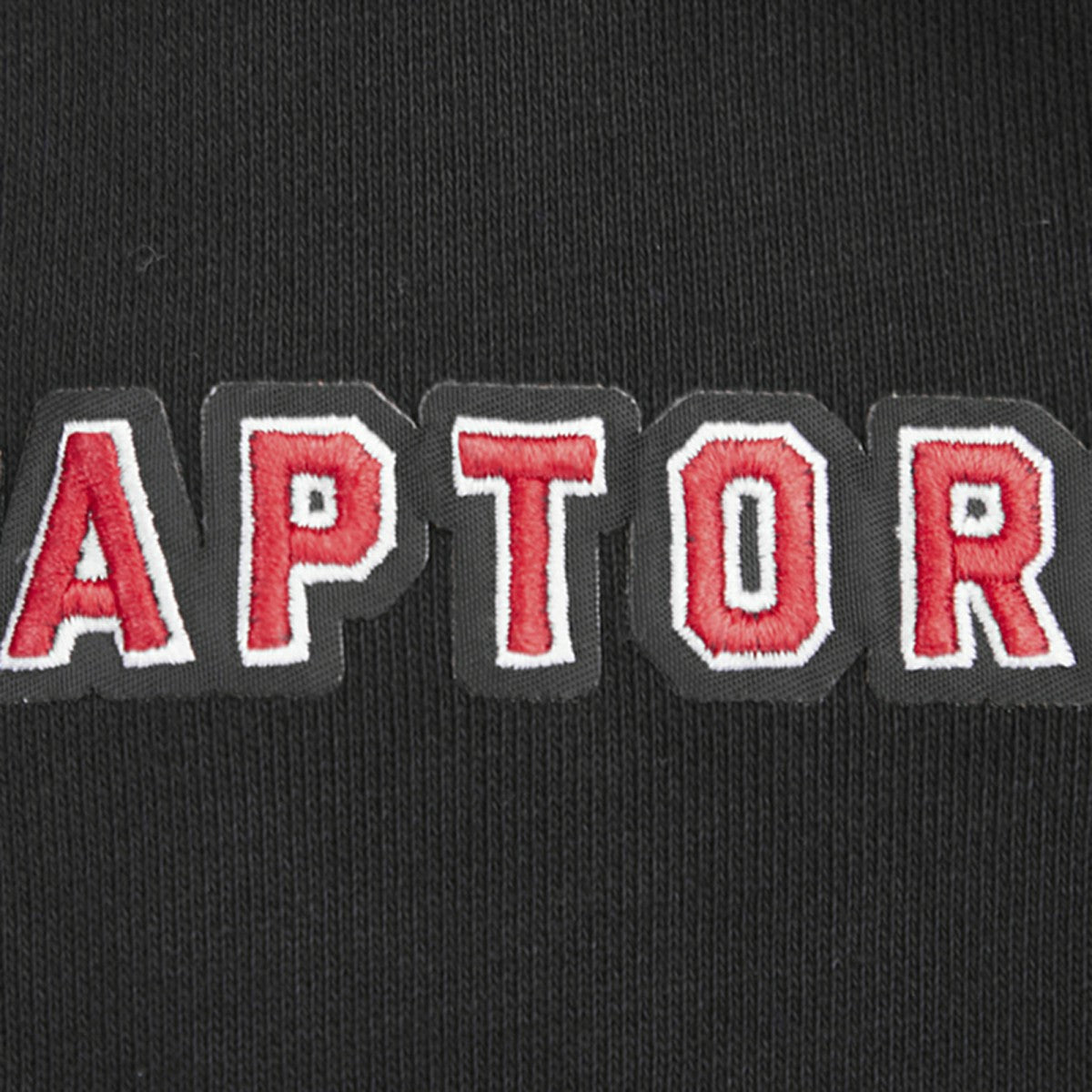 Toronto Raptors Pro Standard Script Tail Pullover Hoodie