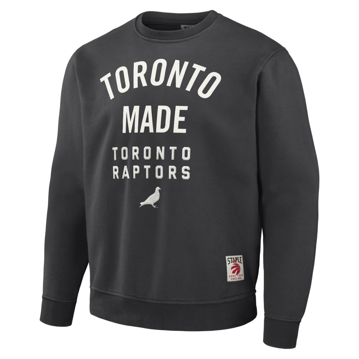 Toronto Raptors NBA x Staple Plush Pullover Sweatshirt