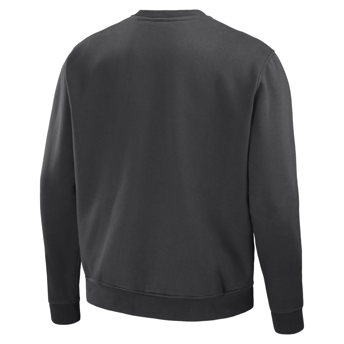 Toronto Raptors NBA x Staple Plush Pullover Sweatshirt