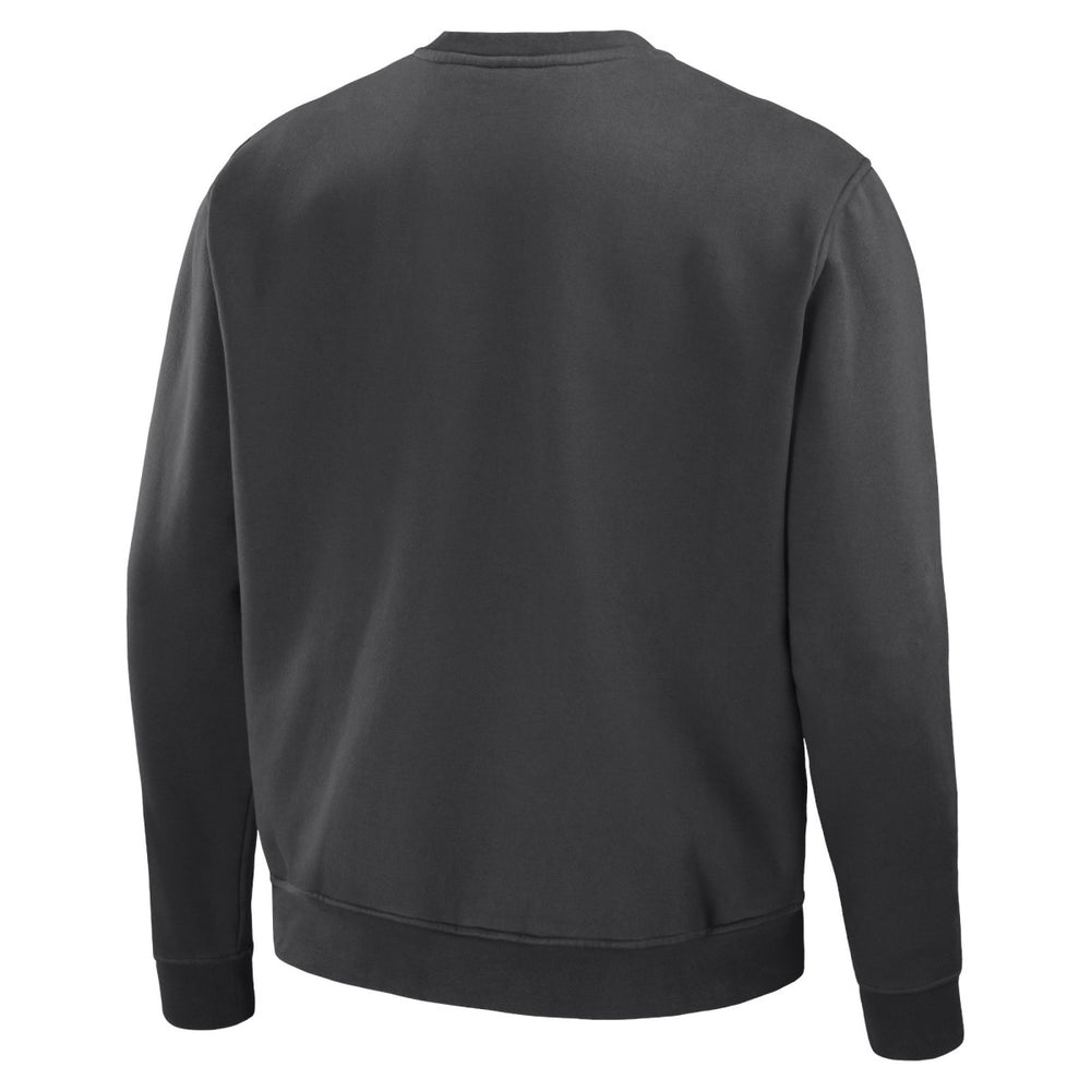 Toronto Raptors NBA x Staple Plush Pullover Sweatshirt