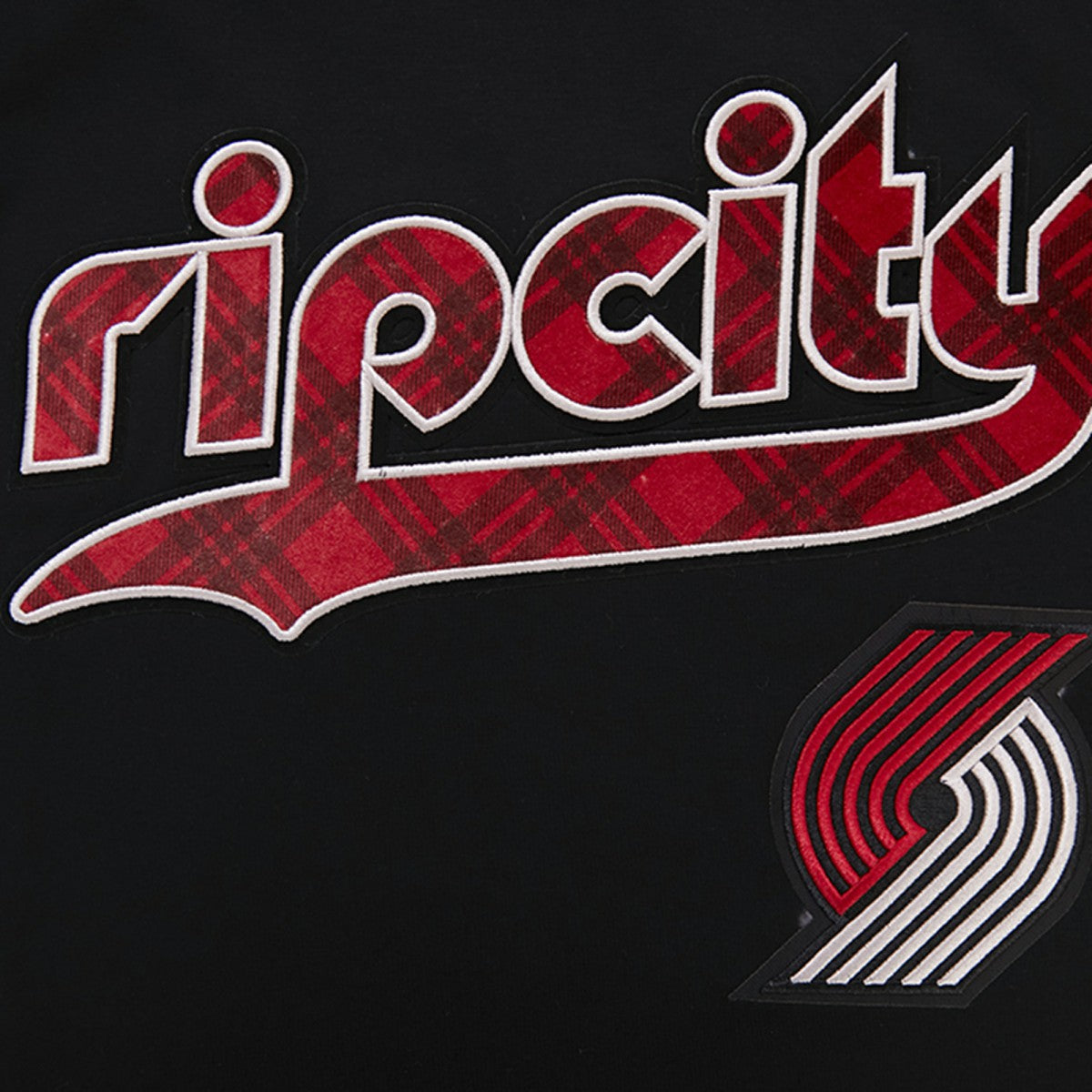 Portland Trail Blazers Pro Standard 2023 City Edition T-Shirt