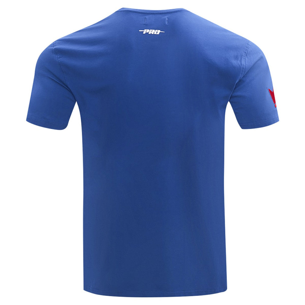 Sacramento Kings Pro Standard T-Shirt