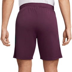Paris Saint-Germain 2024/25 Strike Shorts
