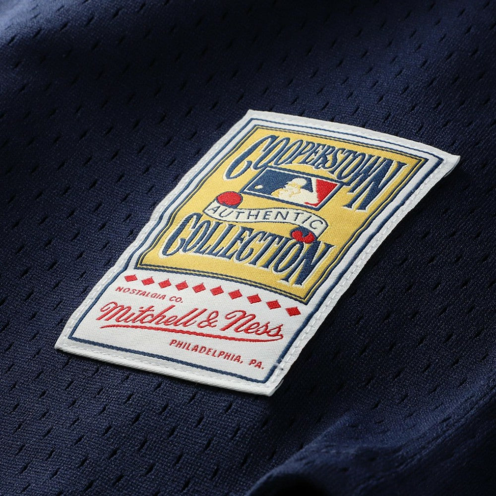 Navy Carlton Fisk Chicago White Sox Mitchell & Ness Authentic Batting Practice Jersey