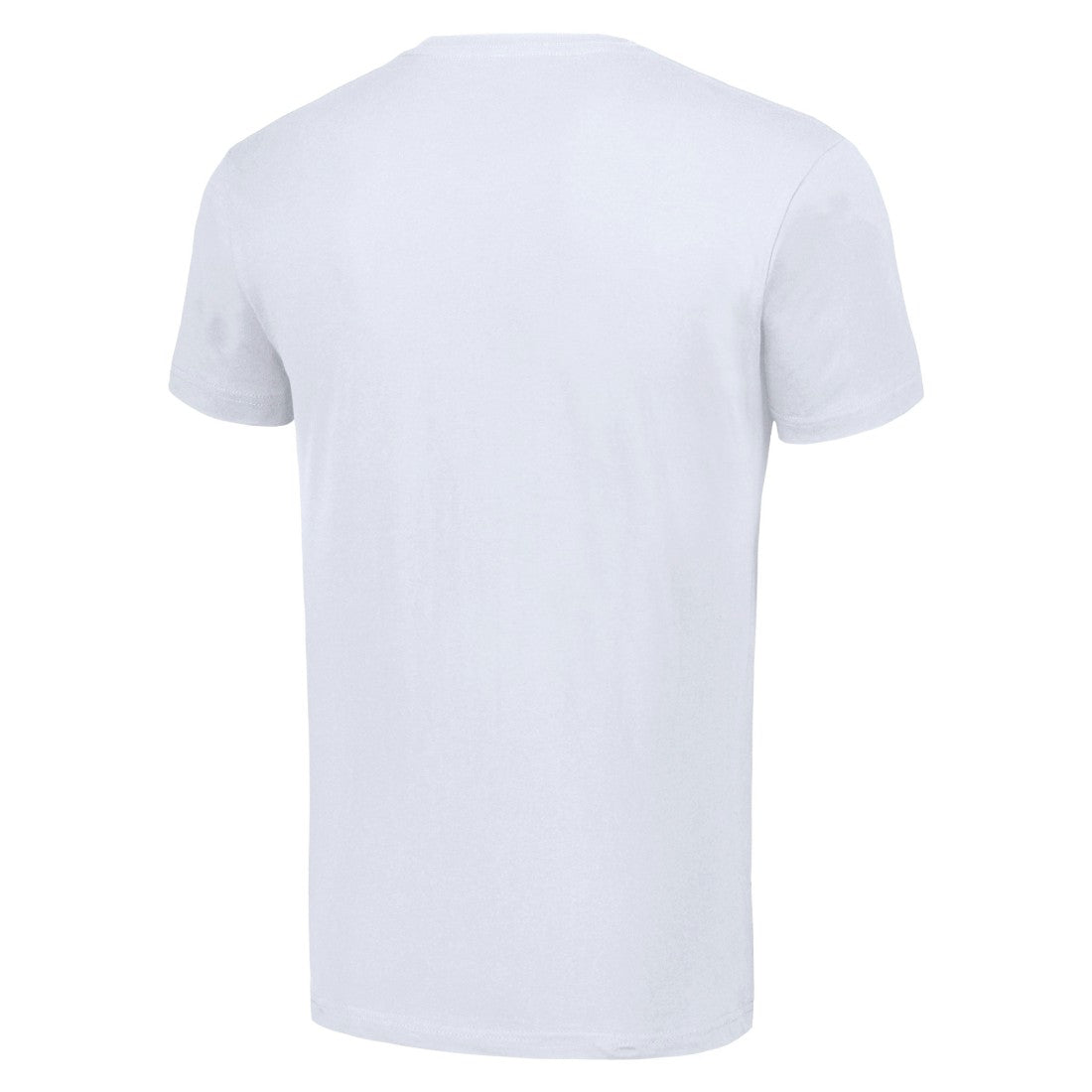 Starter Tailsweep T-Shirt - Detroit Lions T-shirts