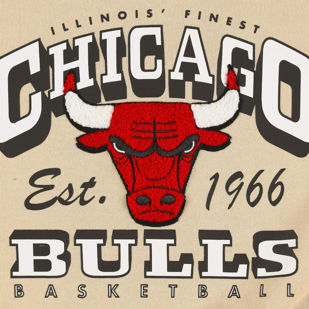 Chicago Bulls Qore Women's Oversized Cozy Mock Neck Pullover Sweatshirt