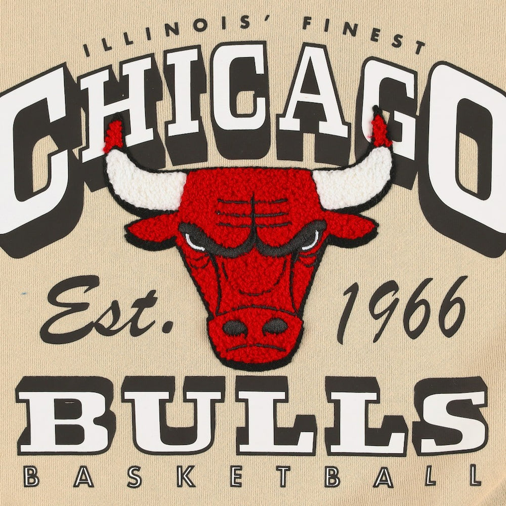 Chicago Bulls Qore Women's Oversized Cozy Mock Neck Pullover Sweatshirt