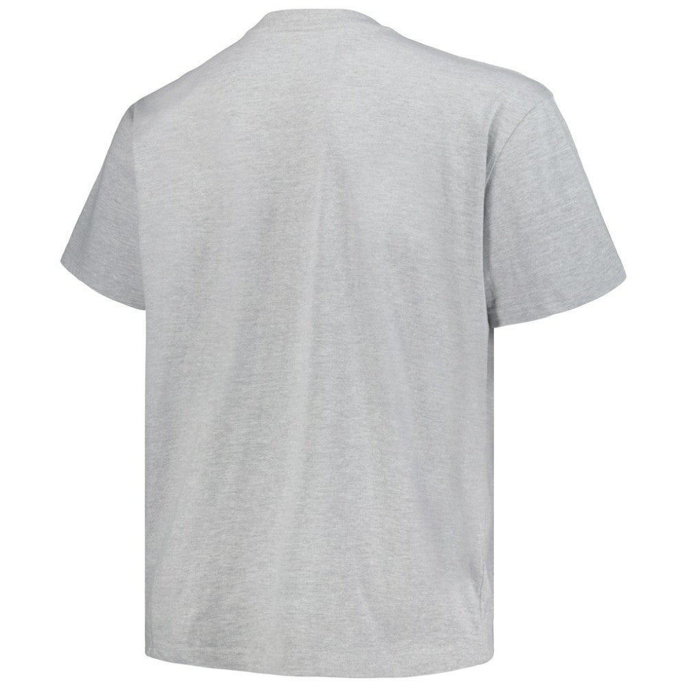 NHL Colorado Avalanche Profile Big & Tall Arch Over Logo T-Shirt